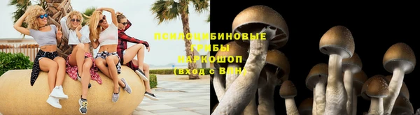 мдпв Волосово
