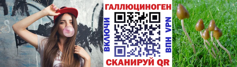 Галлюциногенные грибы MAGIC MUSHROOMS Купить где Строитель