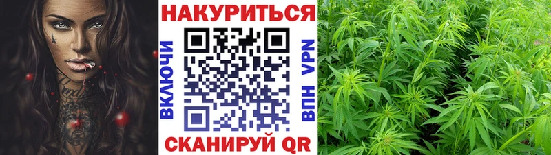 Купить закладки  Строитель  МАРИХУАНА тримм 